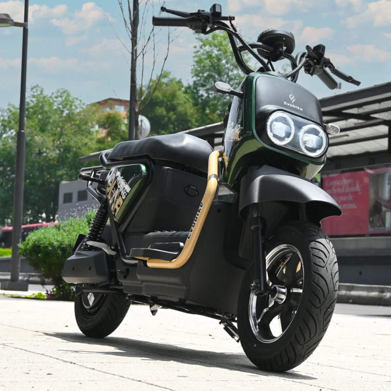 Bicicleta eléctrica Evobike Polar